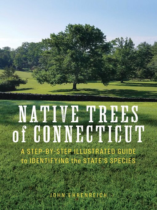 Cover image for Native Trees of Connecticut